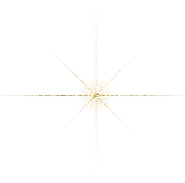 Gold Glitter Sparkling Star 